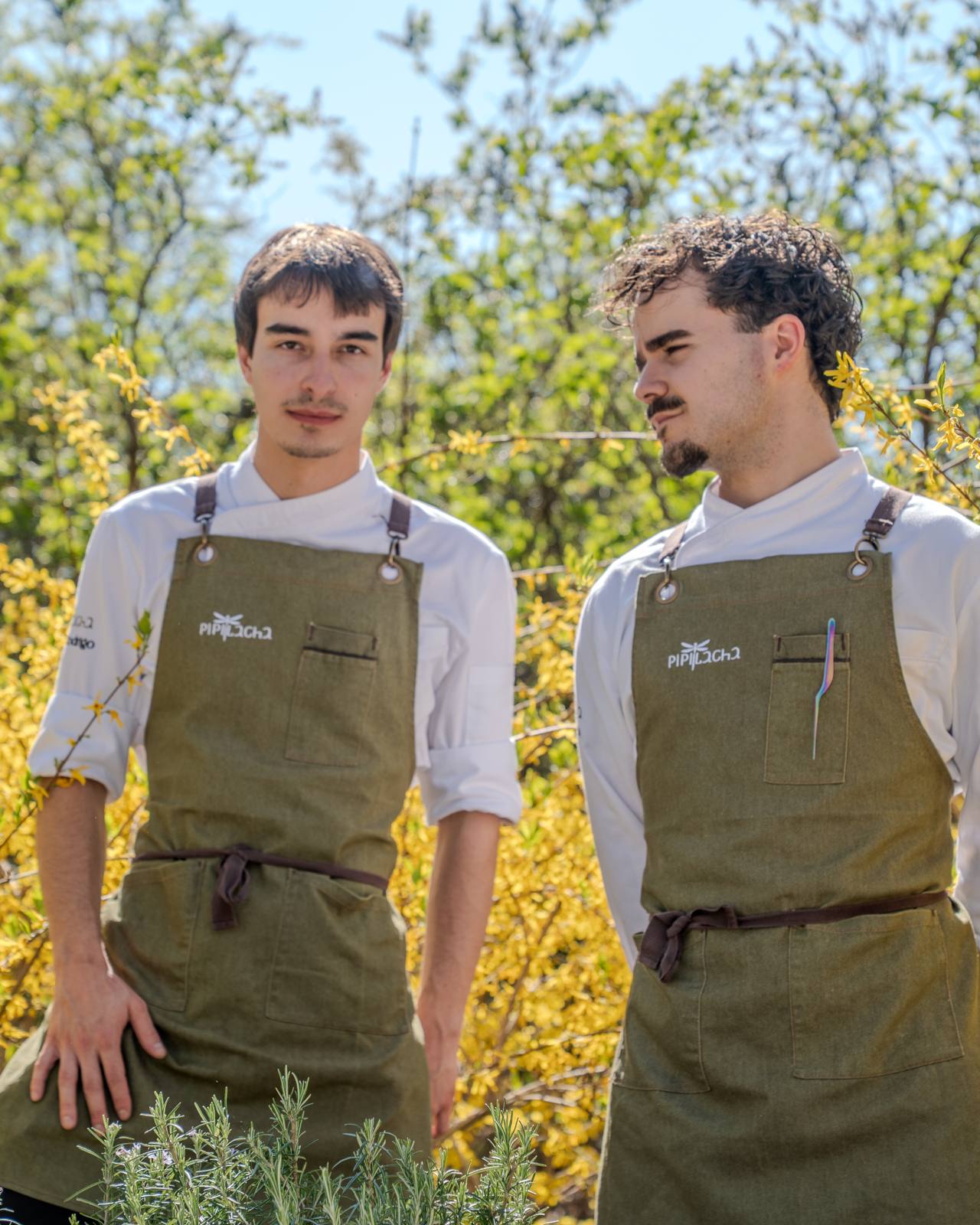 Arán and Noé