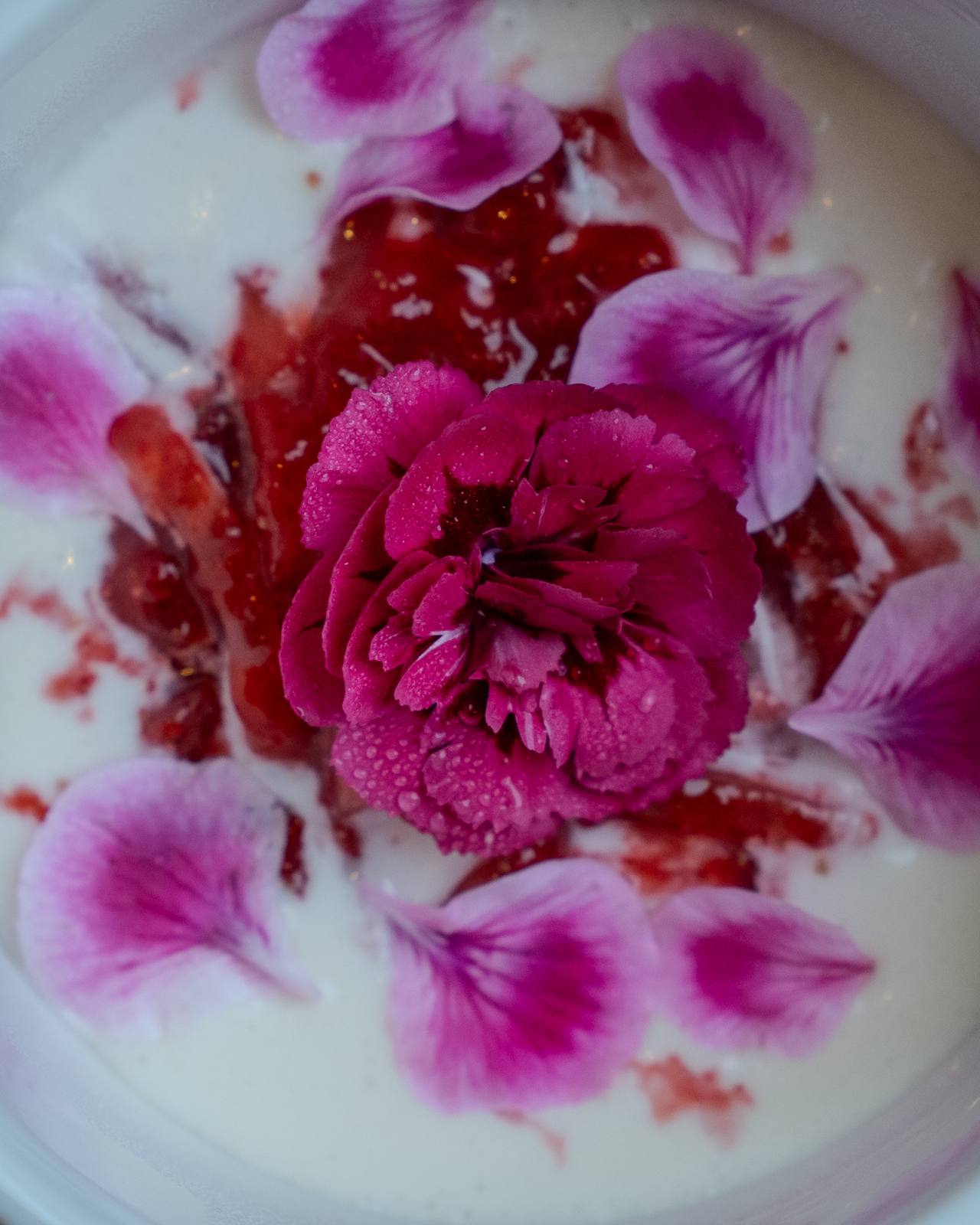 Carnations over strawberries and cream