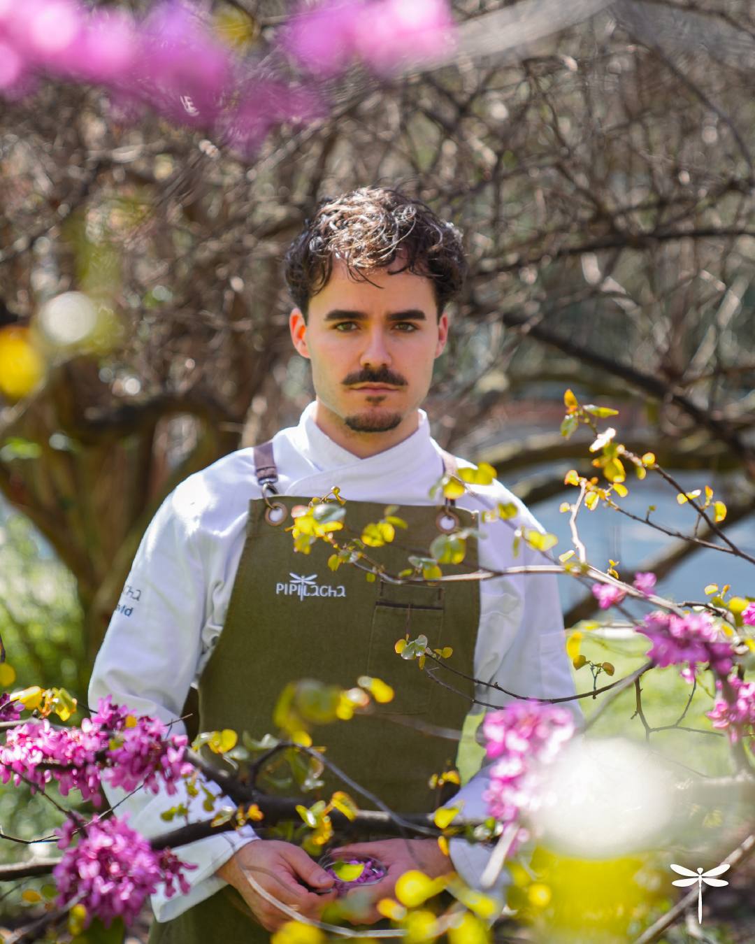 Noé at the pass